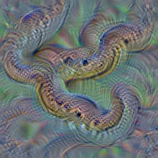 n01756291 sidewinder, horned rattlesnake, Crotalus cerastes